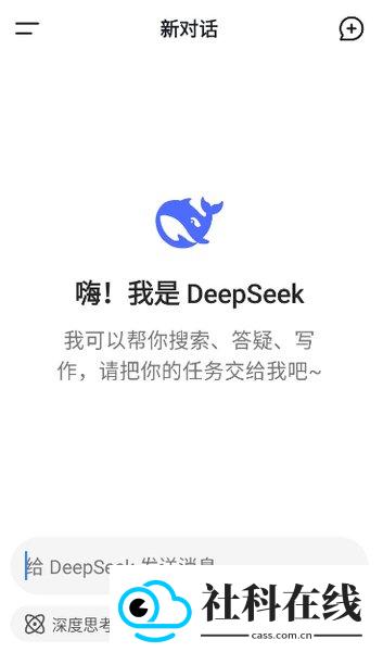deepseek客户端