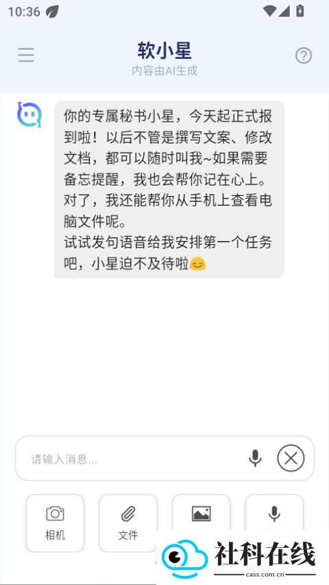软小星ai