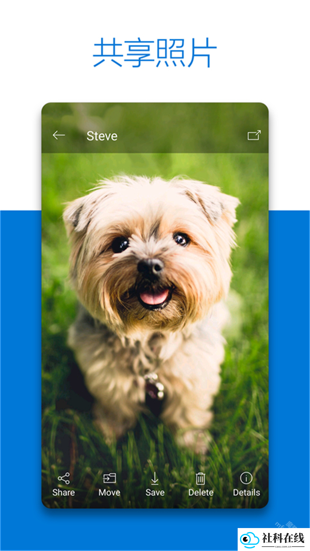 OneDrive安卓版