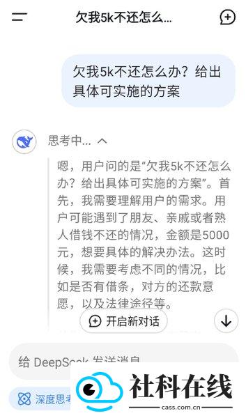 deepseek客户端
