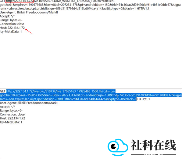 Packet Capture中文版