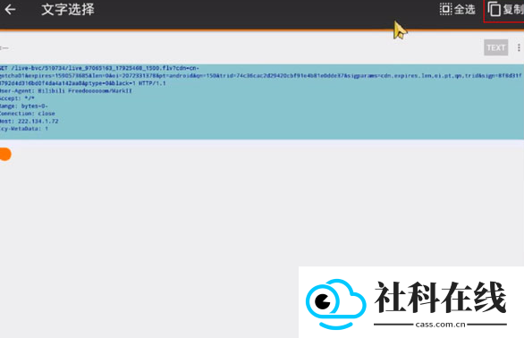 Packet Capture中文版