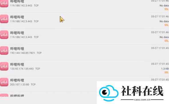 Packet Capture中文版