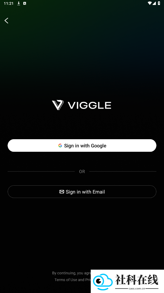viggleai