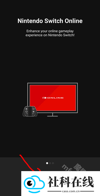 nintendo switch app