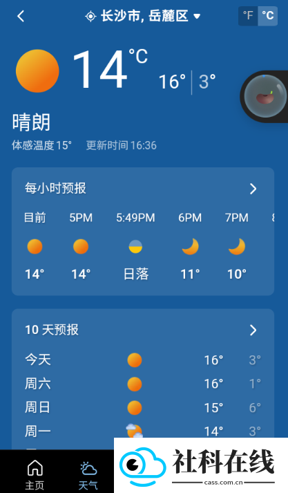 msn天气