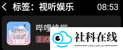 弦应用商店手表版