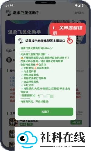 温柔飞美化助手