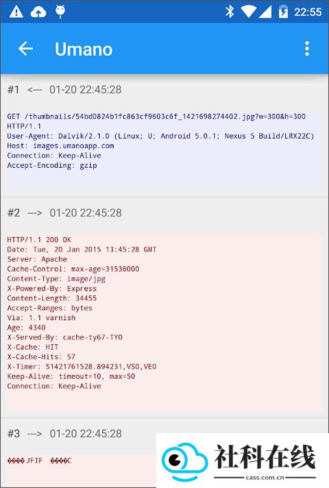 Packet Capture中文版