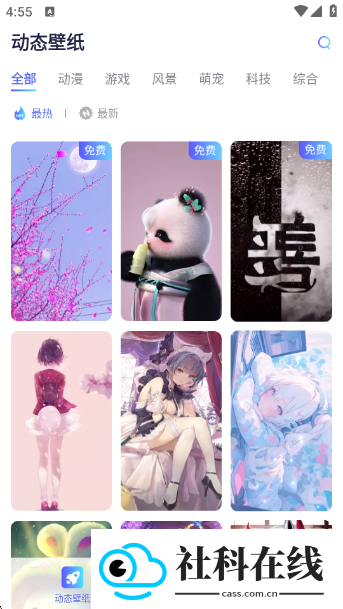 哇叽壁纸