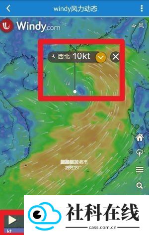 海洋天气手机版