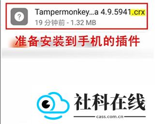 KiwiBrowser