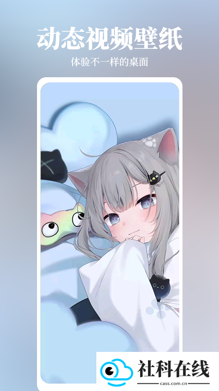 倾心壁纸