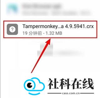 KiwiBrowser