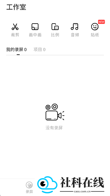 录丸app