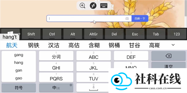Remote Desktop安卓版