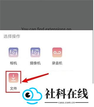 KiwiBrowser