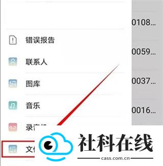 KiwiBrowser