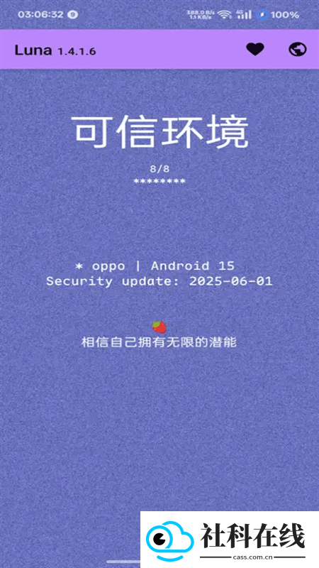 Luna环境检测工具