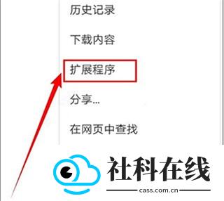 KiwiBrowser
