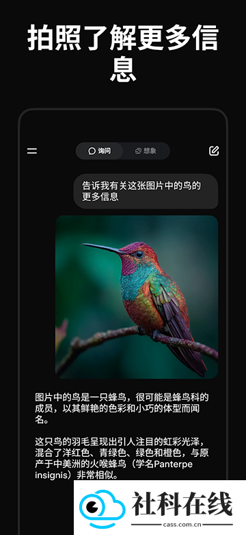 Grok4.1官方正版