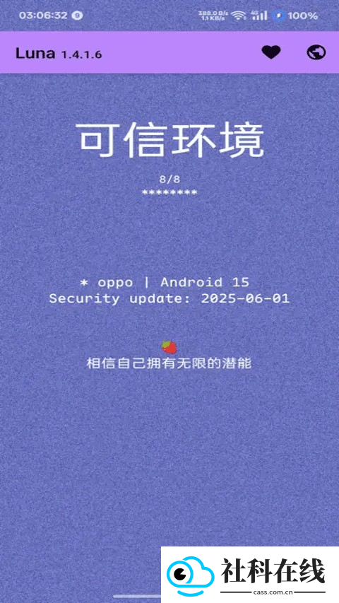 Luna环境检测工具