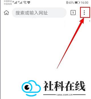 KiwiBrowser
