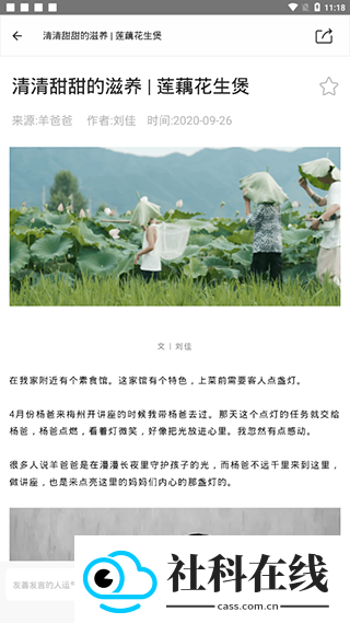 羊爸爸
