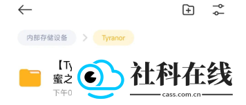 tyranor游戏模拟器