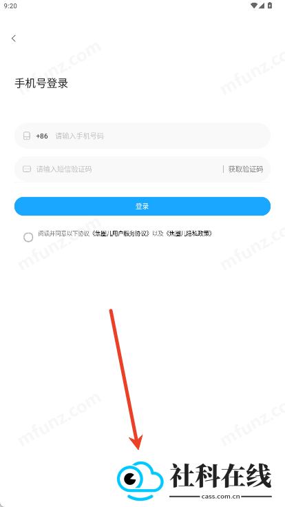 焦圈儿
