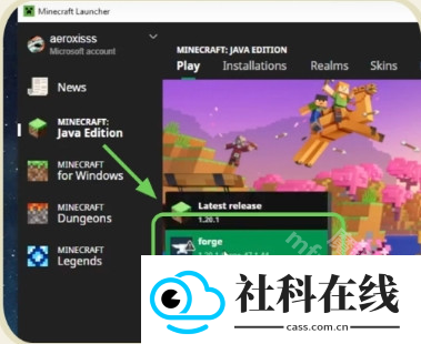 CraftAddons