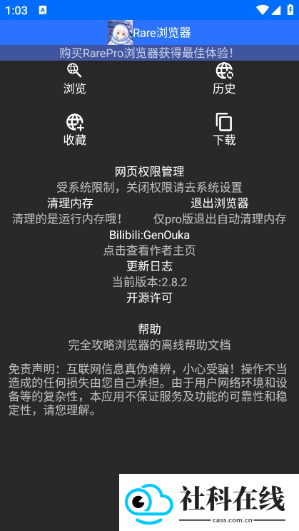 rare浏览器