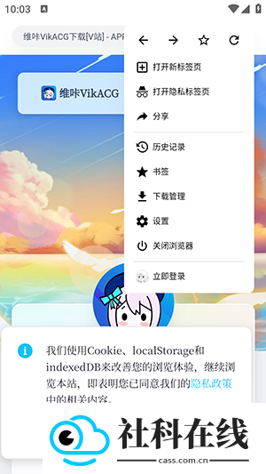VikACGapp