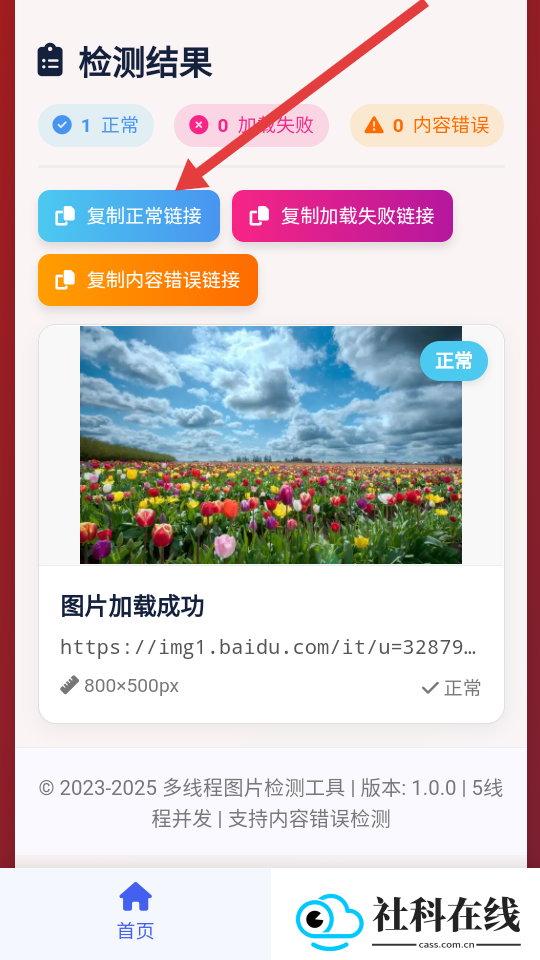 图片链接检测