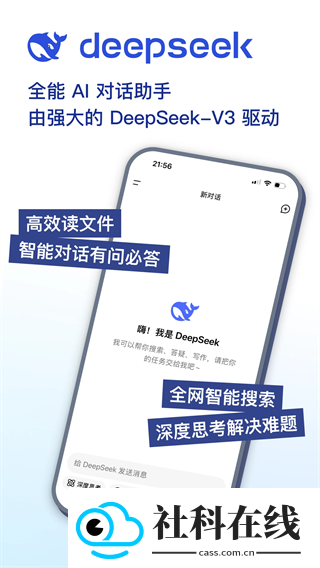 deepseek网络版