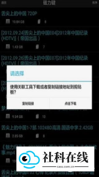 p2p种子