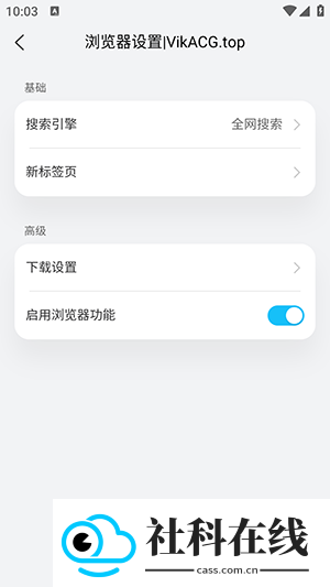 VikACGapp
