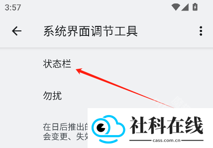 状态栏图标隐藏app