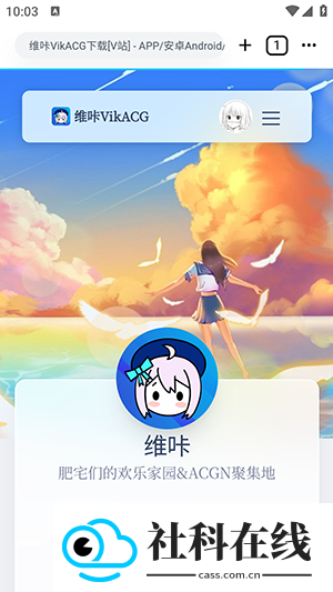 VikACGapp