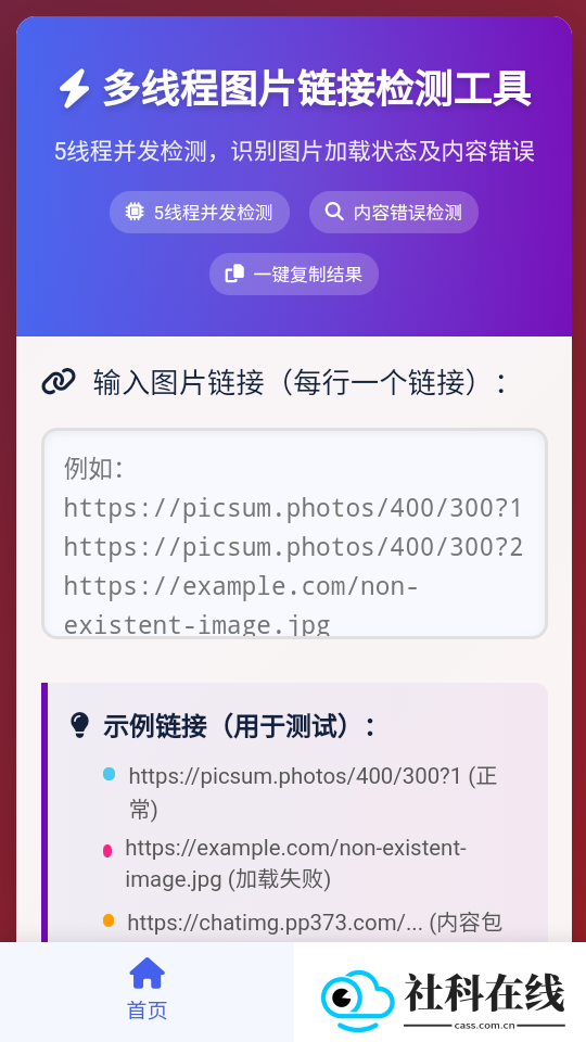 图片链接检测
