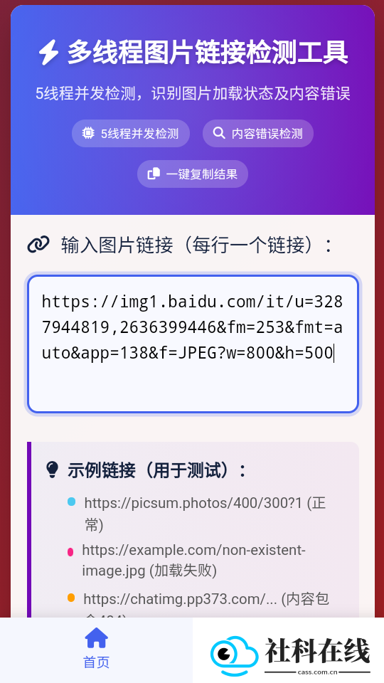 图片链接检测
