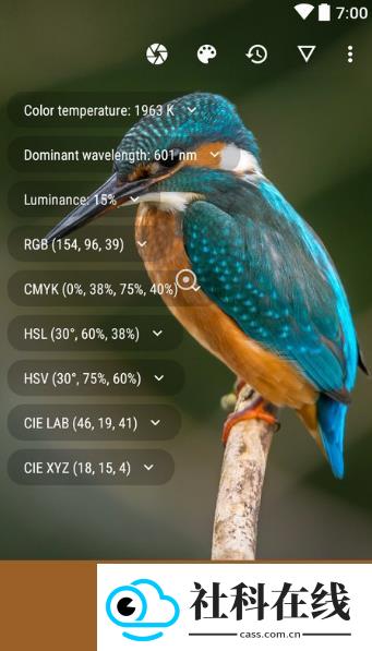 Color Picker