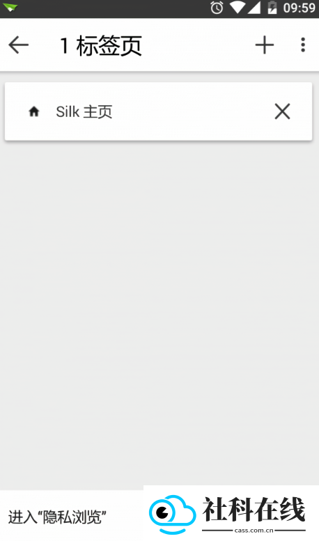 Silk浏览器