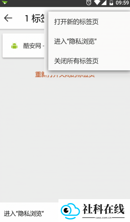 Silk浏览器
