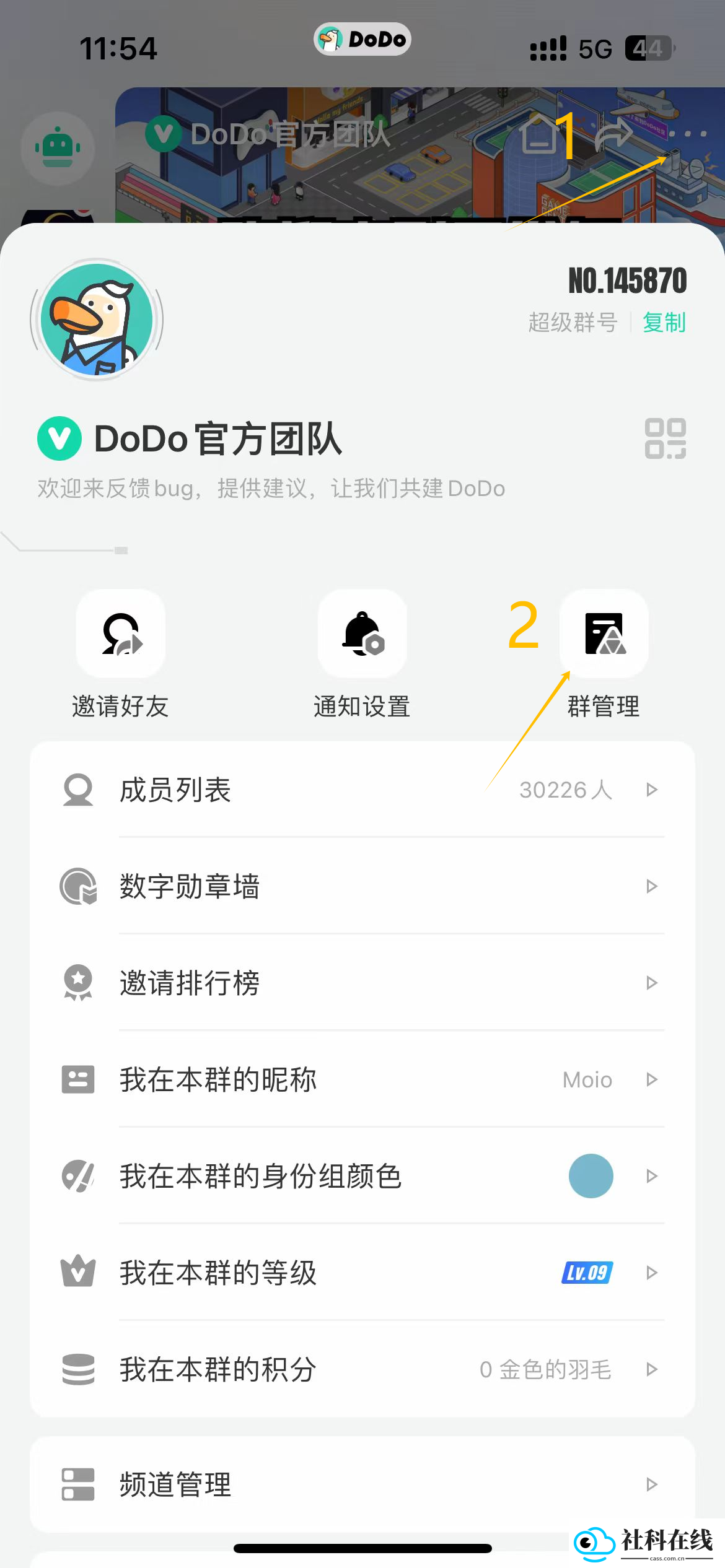 dodo