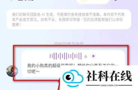 OPPAYA虚拟偶像