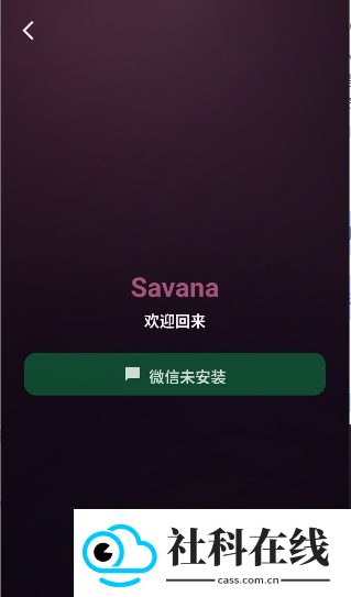 Savana AI