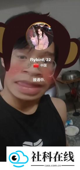 hay下载小鳄鱼正版