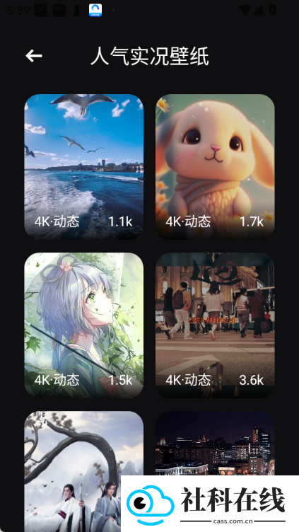 全能实况APP