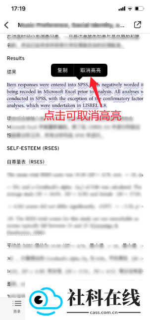 scholaread靠岸学术